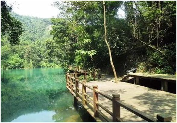 王子山森林旅游度假區