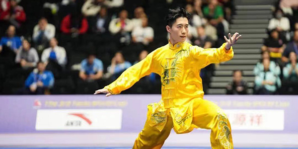 花都健兒盧向成武術套路世界杯摘金  中國功夫震撼日本