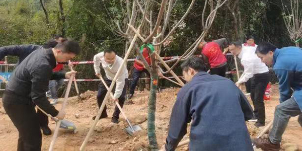 學雷鋒服務月超燃啟動    志愿服務 植樹增綠