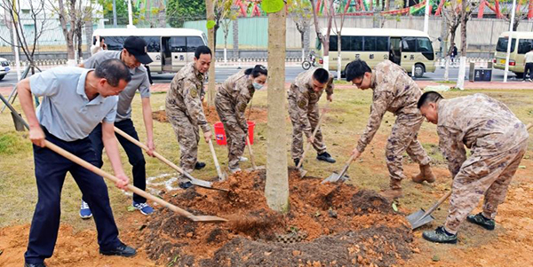 種植適生喬木3860株    花都掀起全民植樹熱潮