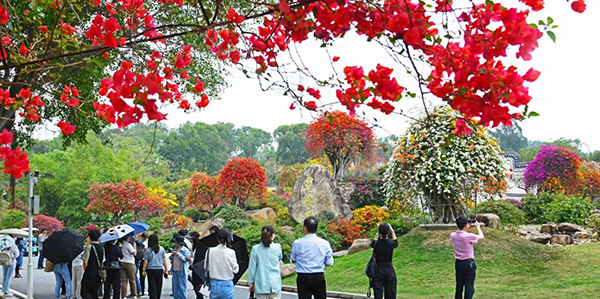 繪就花都鄉村數智發展新圖景