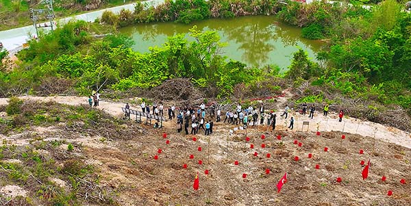 巡林植綠齊行動 共繪花都生態圖