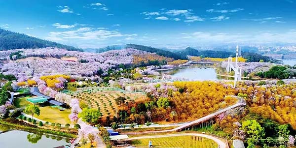 文旅體融合點燃“五一”消費  花都打造“潮玩盛宴”