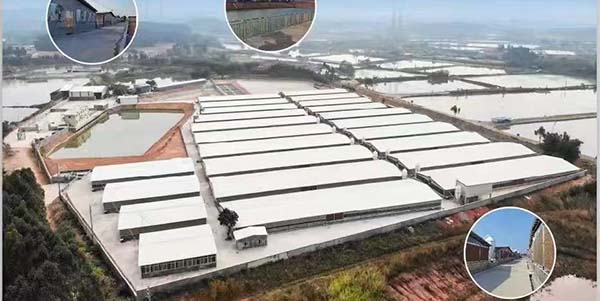 廣州市領(lǐng)航食品有限公司位列“農(nóng)業(yè)產(chǎn)業(yè)化國家重點龍頭企業(yè)”名單  花都實現(xiàn)“零的突破”