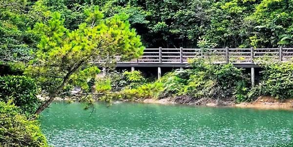 花都區(qū)組織開展鎮(zhèn)村兩級林長業(yè)務(wù)培訓(xùn)班  “精準化+實戰(zhàn)化”提升履職能力