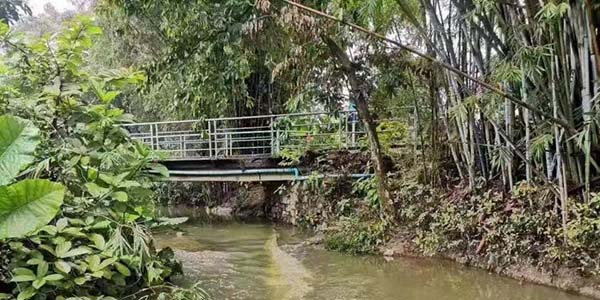 全省唯一入選案例  花都區“10號工作室”登上人民日報