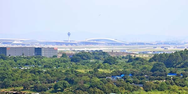 花都區政協開展專題視察   助力打造國際時尚智港