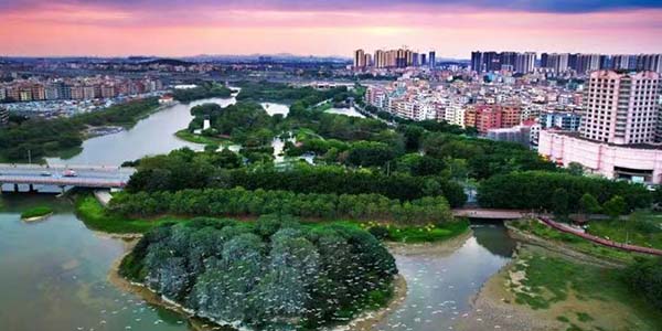 花都區(qū)全面推進綠美生態(tài)建設  繪就“城在園中 人在畫中”新圖景