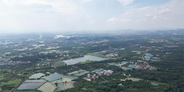 批復(fù)！花都將添一文旅新地標(biāo)