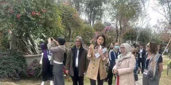 APEC嘉賓點贊花都